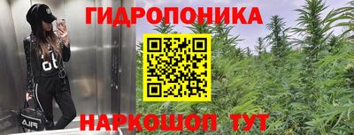 прущая мука Бердск