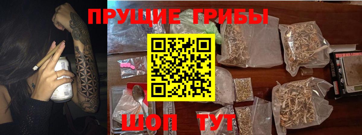 Псилоцибиновые грибы Cubensis Губкинский
